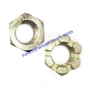 B500164839 nut applicable for SEM