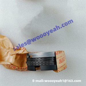 W018100391 RA050002 piston ring applicable for YOT